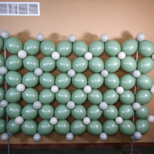 Balloon Wall Standard